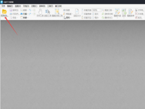 如何删除 PDF 文档中的指定页面。