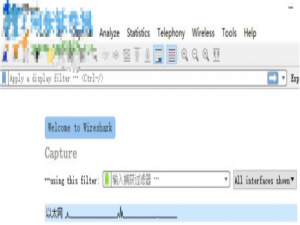 如何设置 Wireshark 软件界面语言。