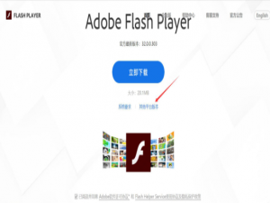 如何下载安装Flash Player插件