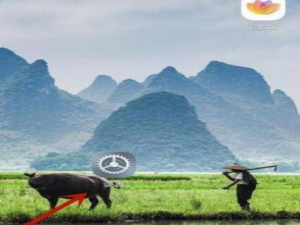 荣耀60pro微信美颜在什么地方打开。