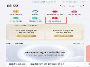 荣耀play3怎么升级鸿蒙系统。