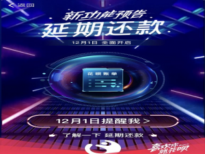 双11的花呗账单没钱还