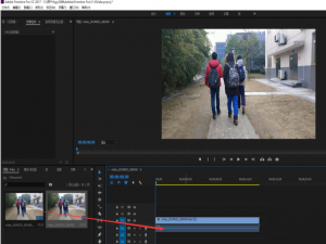 视频调色之彩色画面黑白化，看一遍就学会