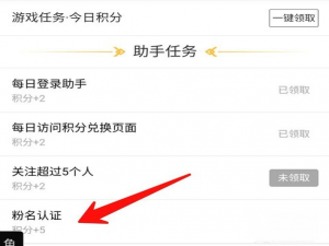 说说6在DNF助手中进行粉名认证的具体操作步骤。