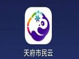 说说6天府市民云查询社保信息的操作过程。