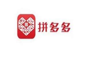 说说6拼多多多多赚大钱玩法介绍。