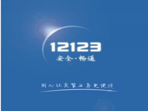 说说6交管12123app使用教程。
