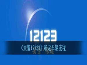 说说6交管12123如何绑定车辆。