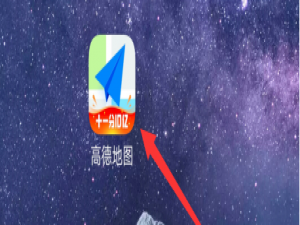 说说6高德地图免密支付功能如何设置。