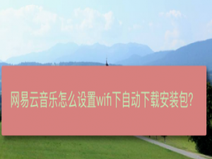 说说6网易云音乐如何设置WiFi网络自动下载安装包。