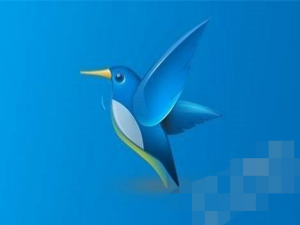 说说6解决迅雷无法登陆的具体操作步骤。