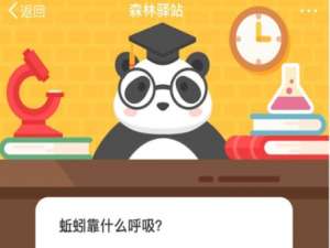 说说6蚯蚓靠什么呼吸。