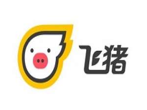 说说6飞猪旅行改签机票。