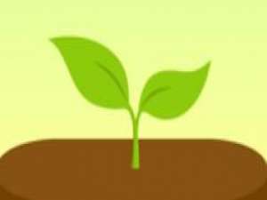 说说6forest如何清理标签。