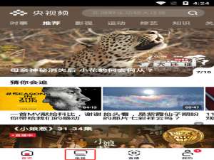 说说6央视频怎么看回看回放。