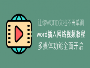 说说6Word怎么插入网络视频。