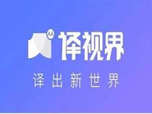 说说6人人译视界快速编辑字幕样式的操作教程