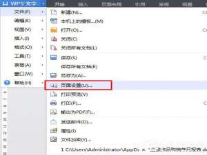 说说6wps如何纵向打印（wps如何纵向打印文件）