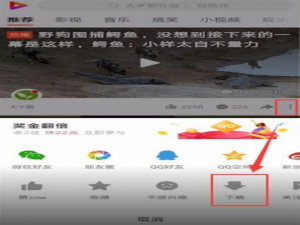 说说6好看视频的下载文件找不到怎么办