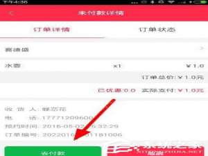 说说6胖胖生活APP怎么付款