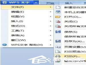 说说6WPS怎么使用打印功能（wps的修订功能怎么使用）