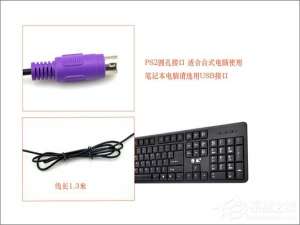 说说6PS2接口和USB接口哪个好（键盘什么接口usb和ps2哪个快）