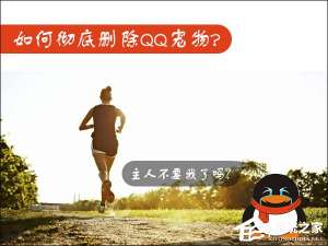 说说6Win7如何卸载QQ宠物（如何卸载qq宠物程序）