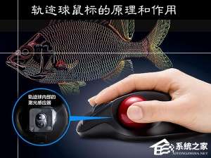 说说6轨迹球鼠标好用吗