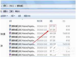 说说6srt是什么文件
