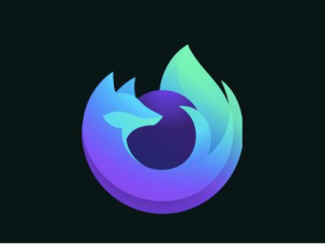 说说6火狐浏览器怎么看缓存文件