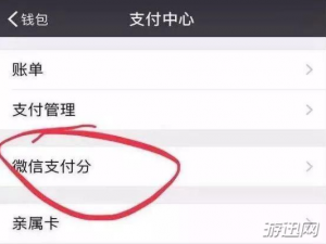 说说6微信支付分是什么