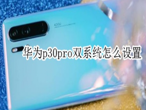 说说6华为p30pro双系统如何设置。