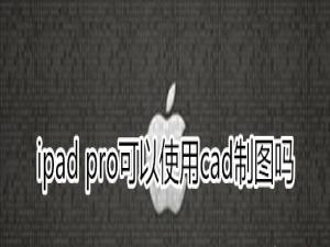 说说6ipadpro能cad制图吗。