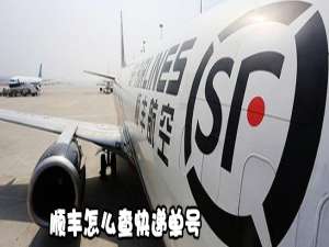 说说6顺丰如何查快递单号。