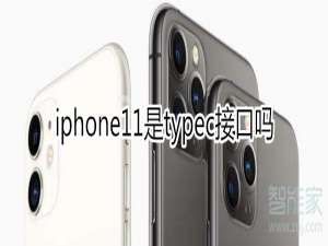 说说6iphone11是不是typec接口。