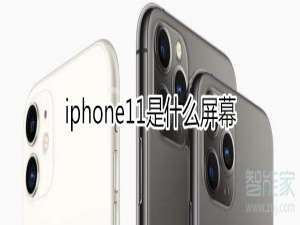 说说6iphone11屏幕是什么材质。