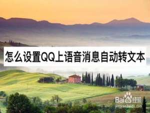 说说6如何设置QQ上语音消息自动转文本。