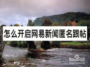 说说6怎么打开网易新闻匿名跟帖。
