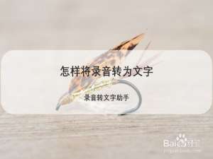 说说6如何将录音转为文字。