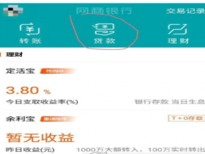 说说6在网商银行中进行借款的详细步骤。