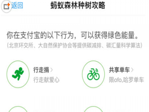 说说6在支付宝蚂蚁森林中获得环保证书的图文教程。