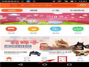 说说6在波奇宠物APP中创建圈子的详细步骤。