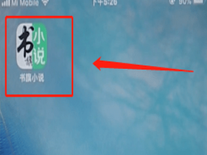 说说6书旗小说app中调夜间模式的具体步骤。