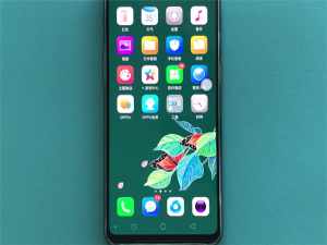 说说6OPPO R11查看序列号的步骤讲解。