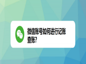 说说6微信账号怎么进行记账查账。