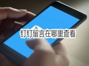 说说6钉钉留言在什么位置查看。