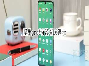 说说6坚果pro3有DC调光吗。