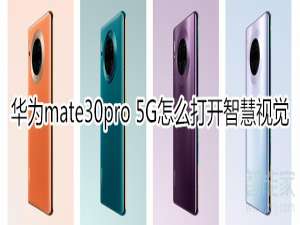 说说6华为mate30pro 5G版在哪打开智慧视觉。