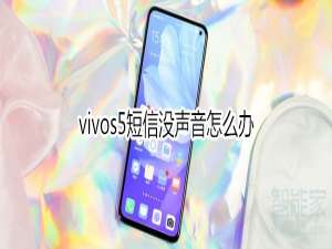 说说6vivos5短信没声音如何处理。