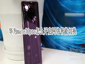 说说6华为mate30pro如何打开网络智能切换。